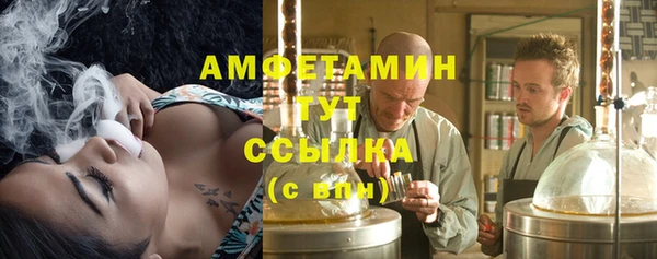 стафф Шенкурск