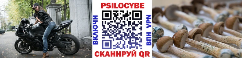 купить наркотики сайты  кракен рабочий сайт  Псилоцибиновые грибы Psilocybe  Артёмовск 